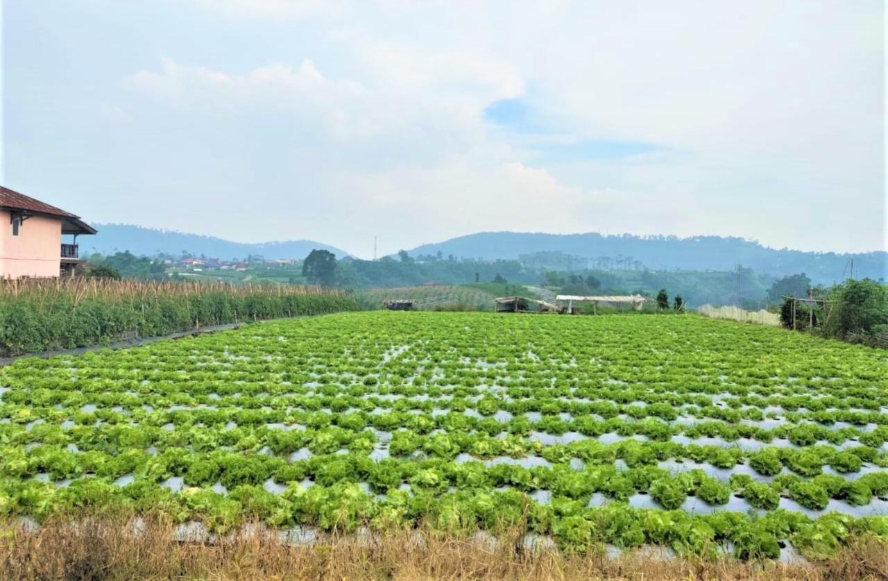 Villa Lembang Bunda Cikareumbi Esterno foto